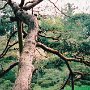 Kyoto, Japan